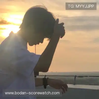 万桢翼